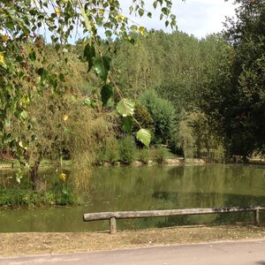 Etang de pêche 2012 01