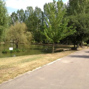 Etang de pêche 2012 06